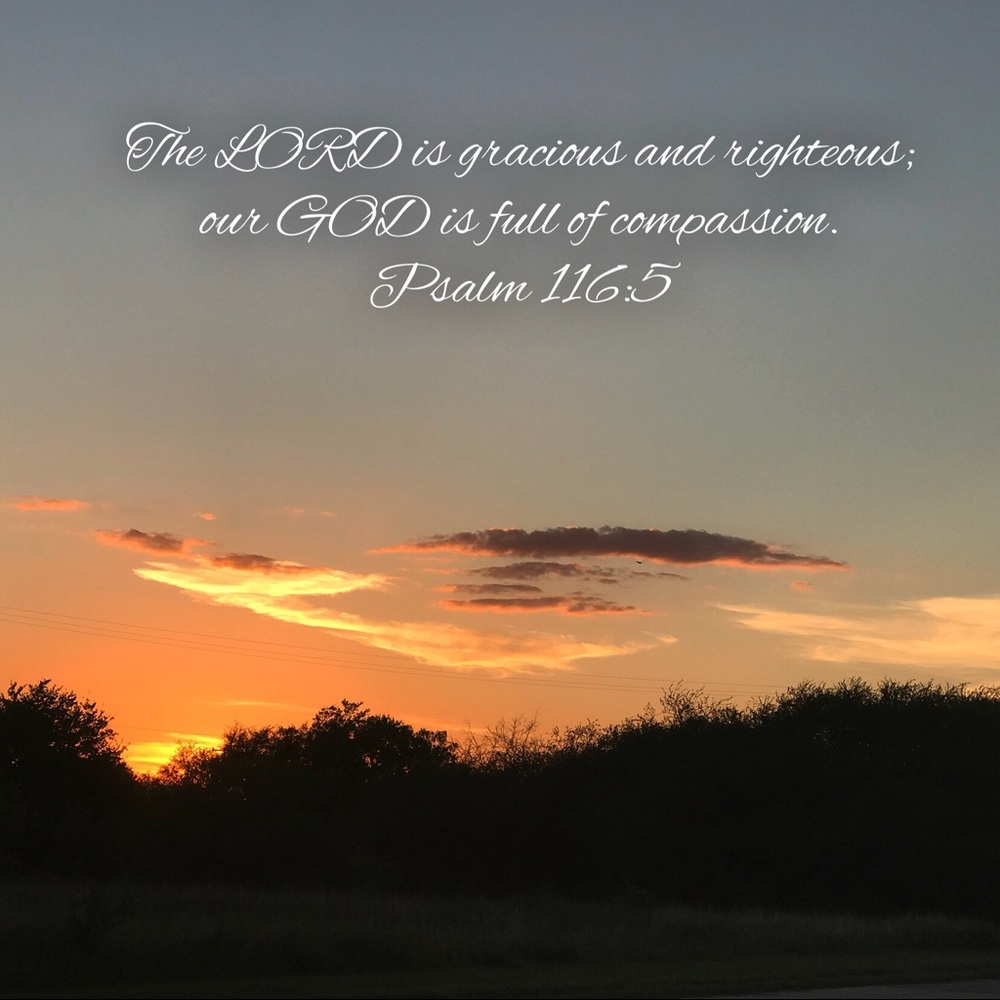 Meet your Posher, Amanda 🌺